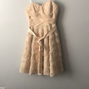 New Beige dress with tag , never wear